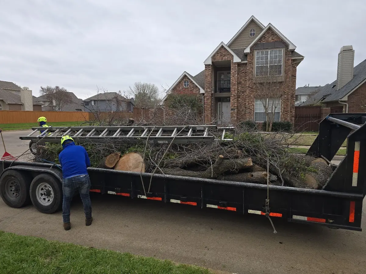 Expert Lot Clearing with proper safety equipment in Kneeland